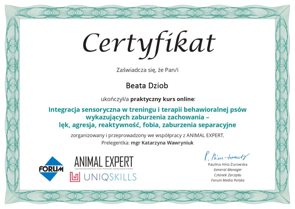 Certyfikat integracja sensoryczna